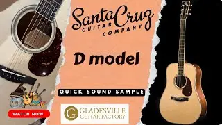 Santa Cruz - D Model - Demo at Gladesville Guitar Factory