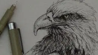 Pen & Ink Tutorial | How to draw an eagle head