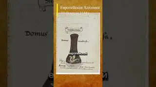 11 февраля 1144 г. Рождение европейской АЛХИМИИ #история #магия #алхимия #европа #химия