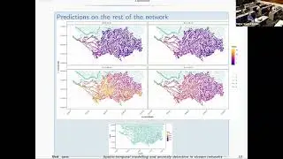Spatio-temporal modelling in stream networks and anomaly detection