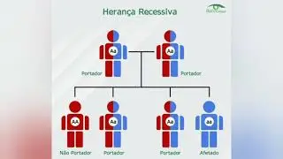Enzima Liases - Aciduria Argininosucc&iacute;nica