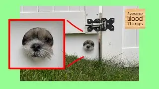 Pet Peek Window Under Gate (Super Cute!) PVC Gate Upgrade - Keeps Puppies Safe!
