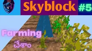 Started Farming | Skyblock #5 | WeWake The Gamer | #minecrafttelugu |