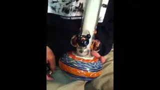 Big bong hit.