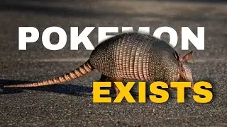 Bulletproof POKEMON 😶?