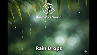 Helping you Sleep better with 4K Nature Rain Dipping Sound