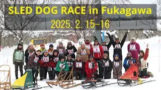 2025.2.15-16  Sled Dog Race in Fukagawa