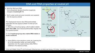 Module 4 DNA RNA Isolation