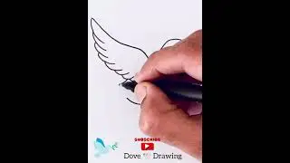 Dove Drawing| Easy Drawing for Kids| Simple Drawing #drawing #drawing4kids #birds #dove #art