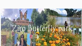 Ziro Butterfly 🦋 Park, Ziro Arunachal Pradesh North East India 
