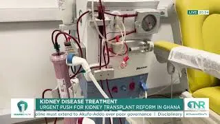Kidney Disease Treatment in Ghana: Urgent Call for Transplant Reform | ChannelOneNews