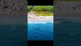 NIT Surathkal Beautiful beach 🏖️ view😍 students enjoy at🎉//jee aspirants motivation//#jee