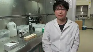 Exploring our Pesticide Laboratory - Water Monitoring for Pesticides in Canada