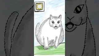 huh cat