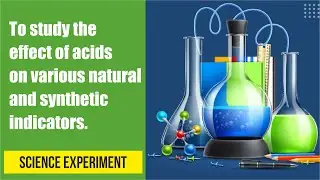 To study the effect of acids on various natural and synthetic indicators