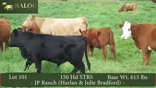 JP Ranch (Harlan & Julie Bradford) Lot 101