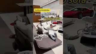 This sofa was co-designed by Ferrari. 🏎️