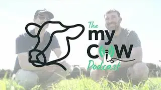 Ep 3 | Stocking Rate, Cow Condition & Farm Profit – Ben Croft Interview