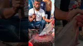Amazing Great Delicious Pangas Fish Cutting Techniques | Fish Cutting Skills