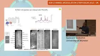 Guiscard Seebohm - University of M&uuml;nster - ICMS UK 2023