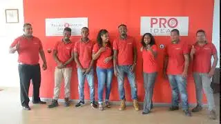 Pro Automation Team
