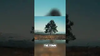 Uncover Deserted Town's Secret: Old Oak Holds the Key!