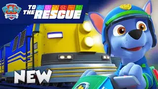 NEW! Rocky's Railroad Crossing Rescue | PAW Patrol: To The Rescue | Cartoons for Kids