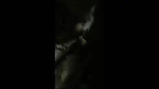 🐱 LIVE Cat Camera - #shorts | POV #CatPOV #LiveNow