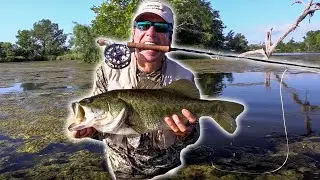 Wade Fishing for Bass?! And With a Fly Rod | Wide Open Sportsman