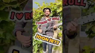 Joan Jett - I Love Rock 'n' Roll #joanjett #iloverocknroll #shorts #gryppa_odnoy_pesni #guitar #fyp