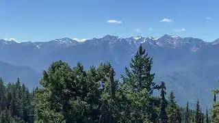 Olympic Mountains view from Wolf Creek Trail - Olympic National Park - Washington