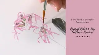 Предварительный просмотр Ragged Robin & Jay Feather с Билли Шоуэллом ⎮Watercolour Beautiful