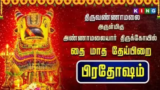 🔴LIVE : பிரதோஷ வழிபாடு  திருவண்ணாமலை அண்ணாமலையார் திருக்கோயில்  பெரிய நந்தி அபிஷேக தரிசனம்