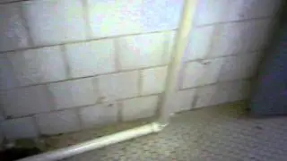 V&iacute;deo0003