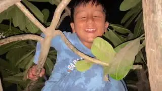 Abhidev pedh 🌳 pe chadh Gaya 🤕#vlog #vlogging #funny #dailyvlog #food #problem #dailyvlog #viral