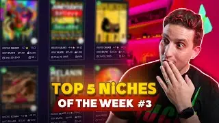 TOP 5 NICHES 🔥 Print on Demand Niche Research (14/05/2024)