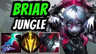 Briar Jungle | League of Legends | Season 13 | Patch 13.8