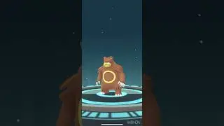 When You Catch a Hundo Teddiursa but Can&rsquo;t Evolve It&hellip; Disappointment Hits Different! #pokemongo