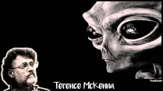 Terence McKenna - Are Aliens us from the Future?