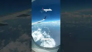 💥Vistara Airline Shock: You Won't Believe What Happened Next!😱   #shorts