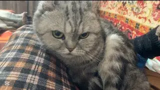 🪬 39. Не повторяйте моих ошибок. 