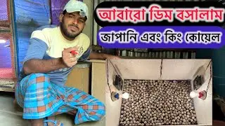 কিং কোয়েল ২৯ এবং জাপানি কোয়েল পাখি ৪০০ ডিম বসালাম 🕊️✅✅ 