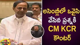 CM KCR Counter To Asaduddin Owaisi In Telangana Assembly Session 2019 | Mango News