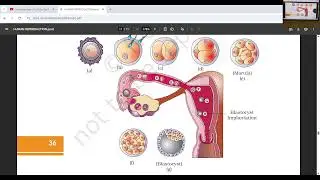 NEET I biology  class by Deepak Sir