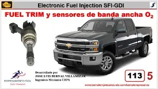 113-[Electronic Fuel Injection EFI] FUEL TRIM y sensor O2 de banda ancha 