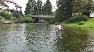 Fly Fishing at the Krka River Lodge in Krka, Slovenia