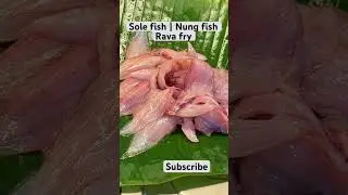 |NUNG|SOLE FISH RAVA FRY|