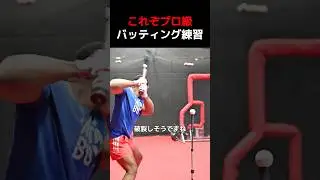 これが本当のバッティング練習