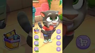 TALKING WITH TOM FUNNY CAT REACTION LIVE STREAM