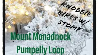 Knobbie Hikes with Stomp Mount Monadnock (The Pumpelly Trail loop)